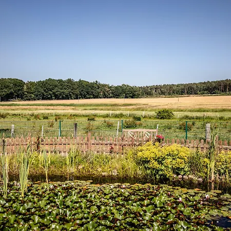 Dreimädelhaus - Kirchseelte